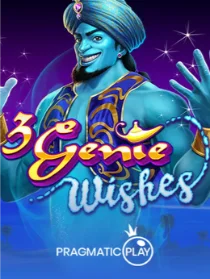 3 Genie Wishes